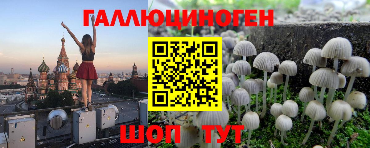 Анапа  Псилоцибиновые грибы Psilocybe  Вход с VPN  Галлюциногенные грибы MAGIC MUSHROOMS 